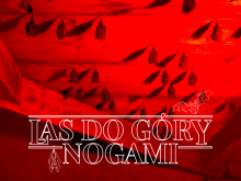 Poznaj "Las do góry nogami " w ramach Międzynarodowej Nocy Nietoperzy