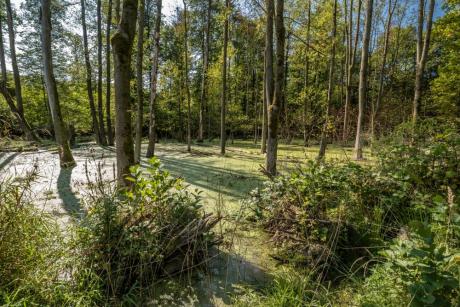 World Wetland Day, czyli Światowy Dzień Mokradeł