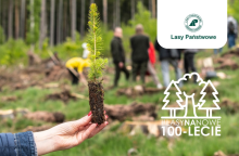 Międzynarodowy Dzień Lasów 2025